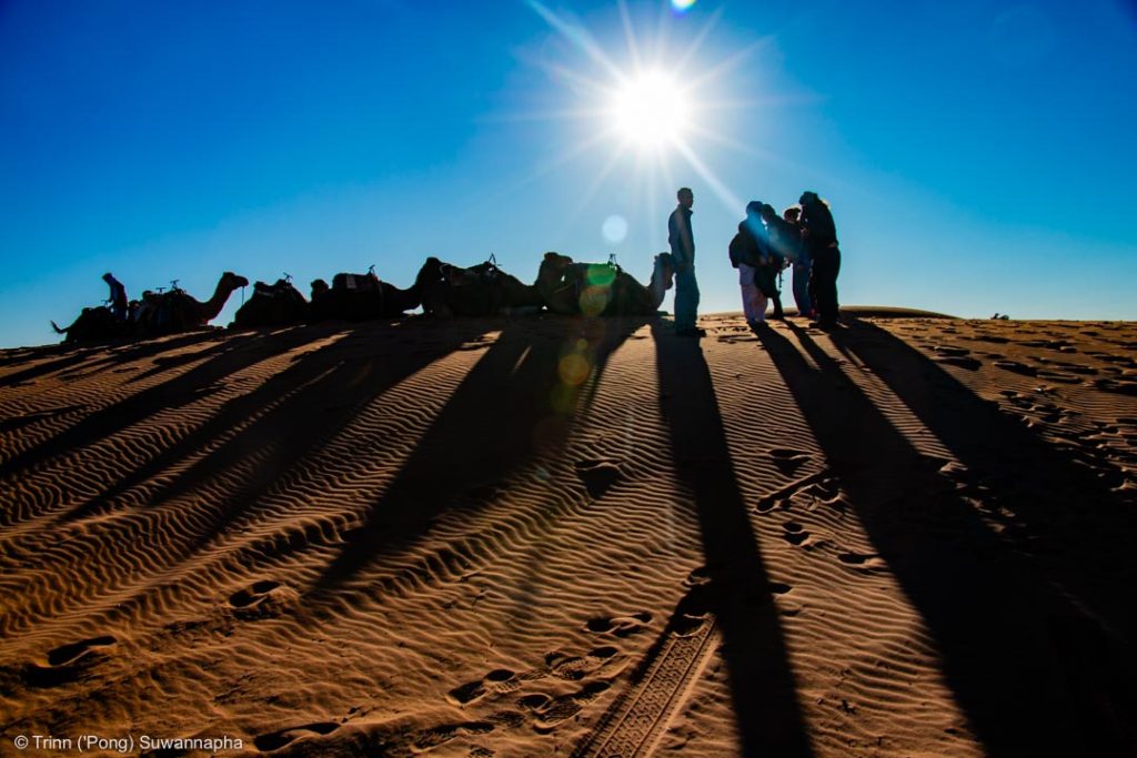 Camel ride