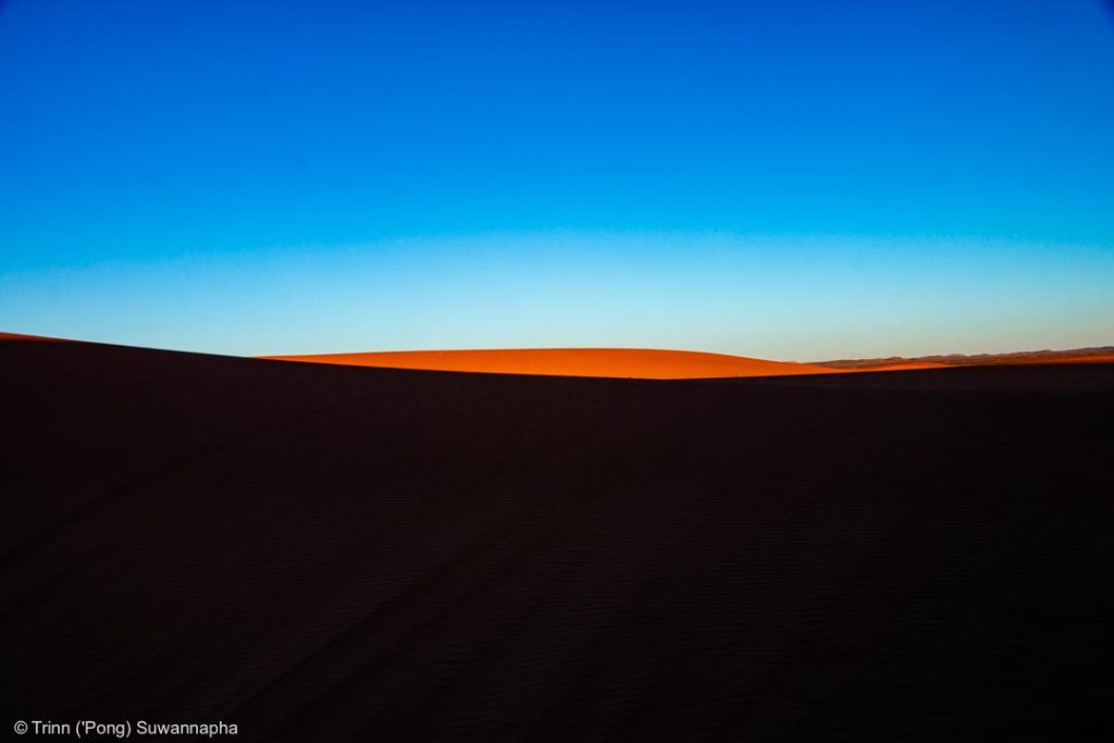 Sunset light on a dune